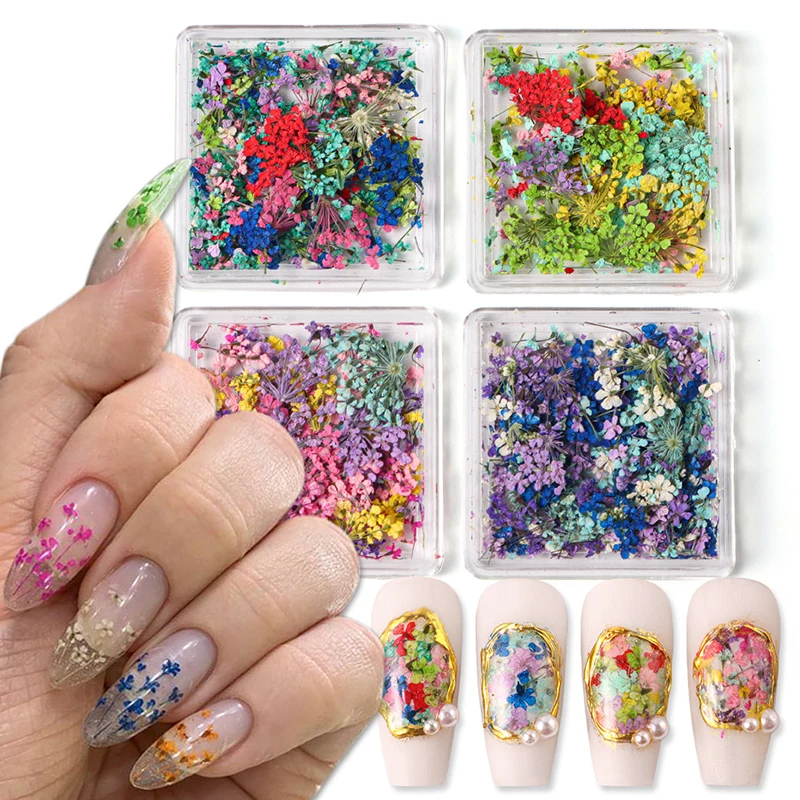 

2025 New Nail Art DIY Decorations Japanese Style Gel Dried Flower For Nails Art Jewelry Charms Flower Beauty Salon Decoration