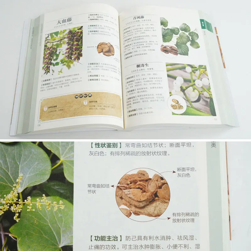 The Book OfEncyclopedia of Chinese Herbal Medicine Basic Theoretical Books of Chinese Medicine