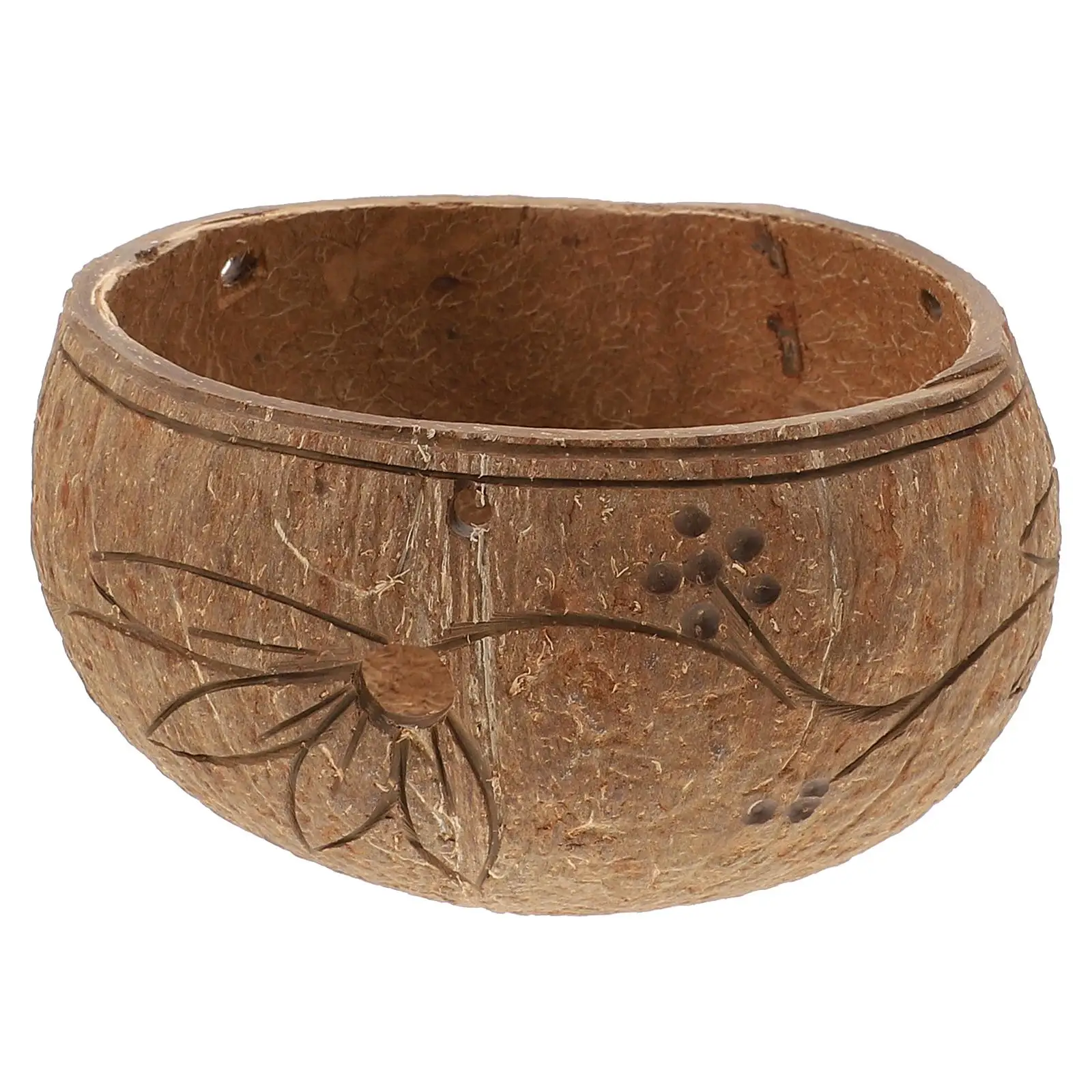 

Coconut Shell Hanging Flowerpot Elegant Planter Pot Indoor Garden Decor Small Plants Succulents Herbs Ferns Hanging Basket