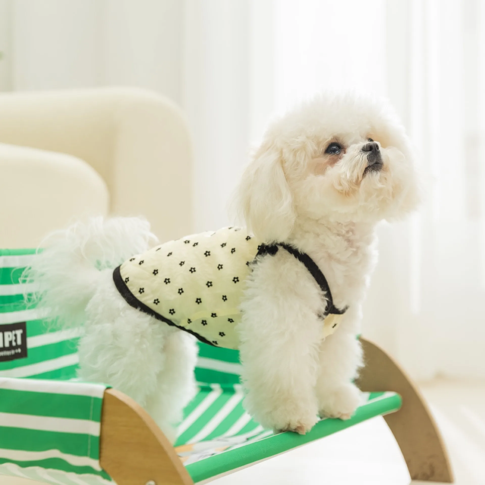 Pakaian Anjing Polka Dot Jaring Selempang Hewan Peliharaan Busur Musim Panas Rompi Sejuk Anjing Kecil dan Menengah Pakaian Lucu Teddy XS-XL