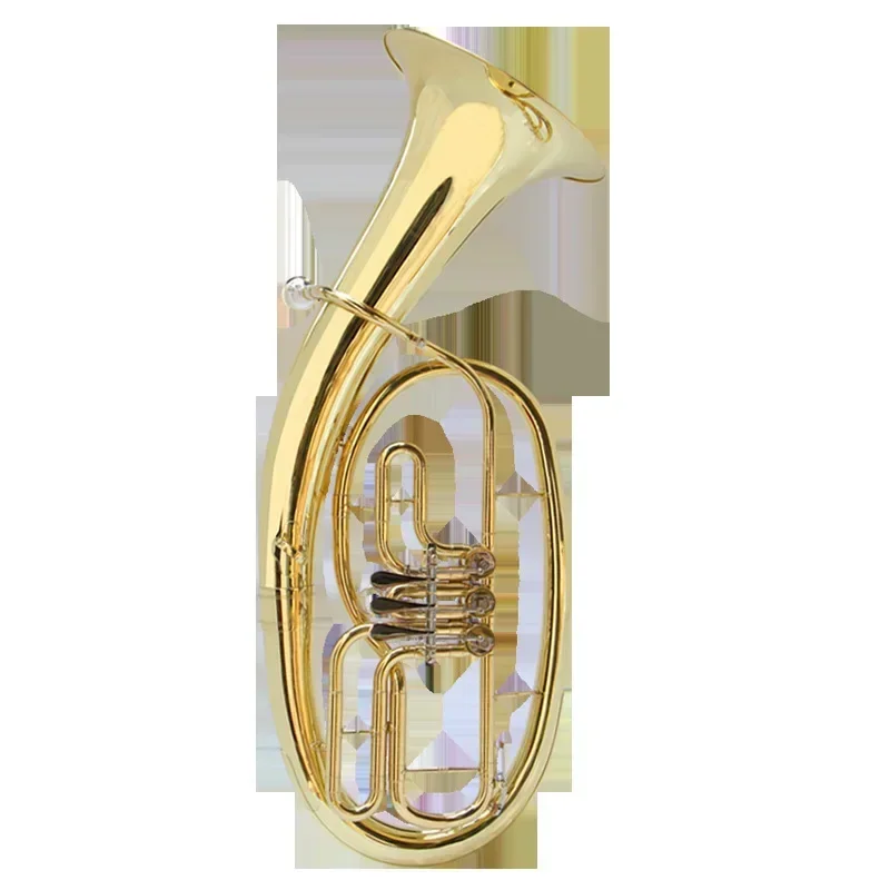 

Three flat keys, rotary valve, tenor, flat B paint gold, brass instrument, large bag.