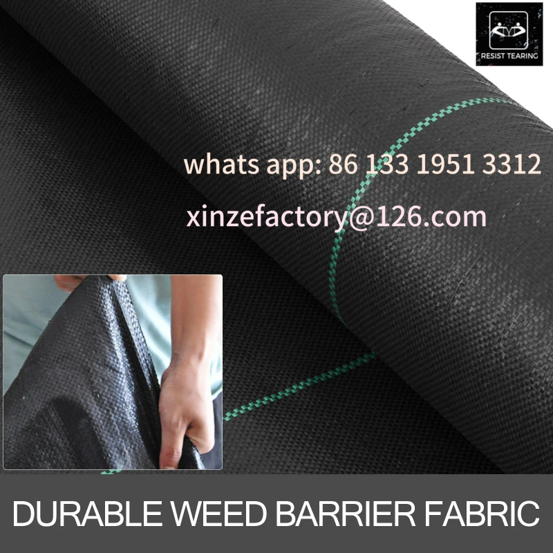 

Customizable Landscape Fabric Geotextile Fabric Durable Heavy Duty 1.5oz Ground Cover Woven For Commercial