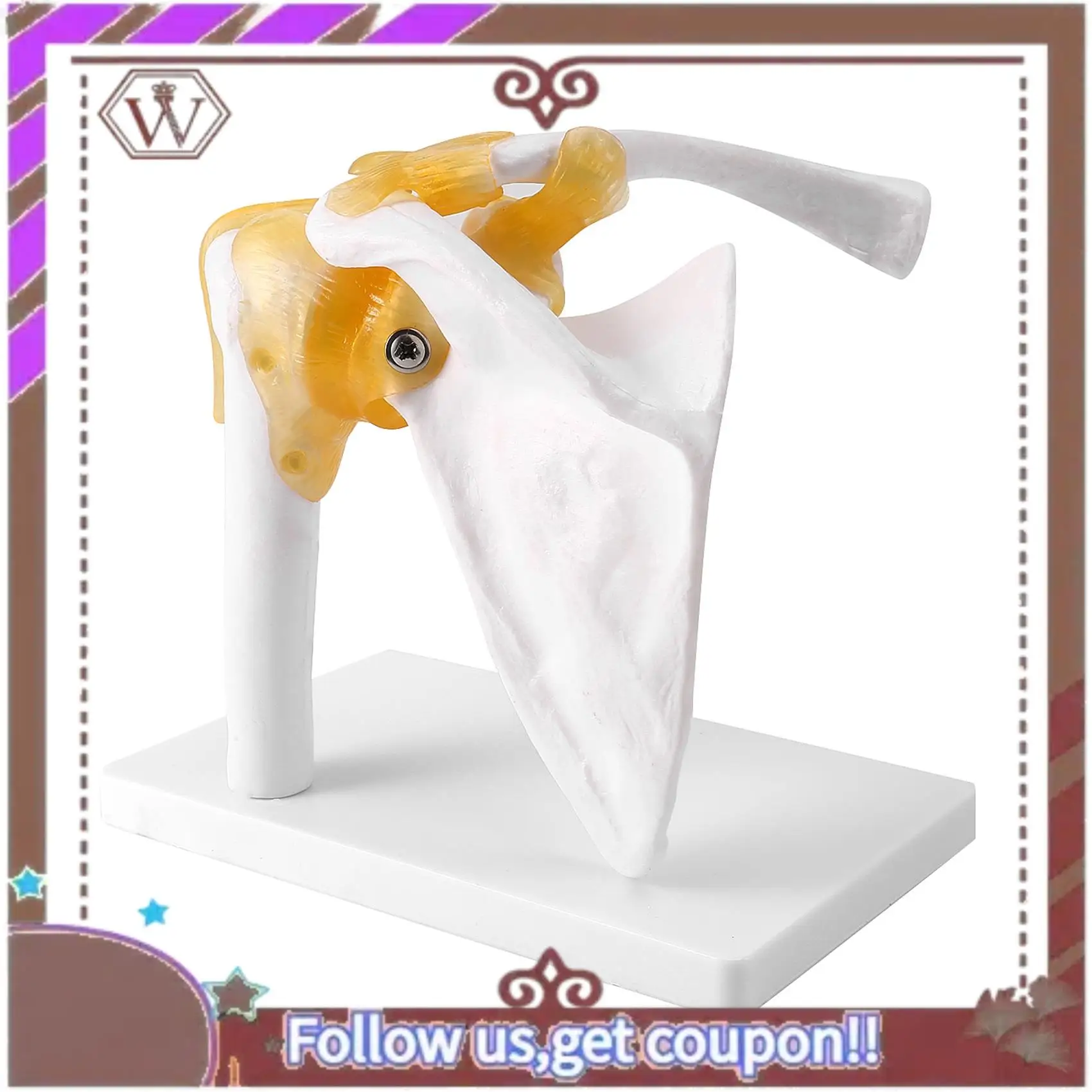 ABBG-Human Shoulder Joint Model, Anatomically Accurate Shoulder Skeleton Model Life Size Human Skeleton Anatomy For Science Clas