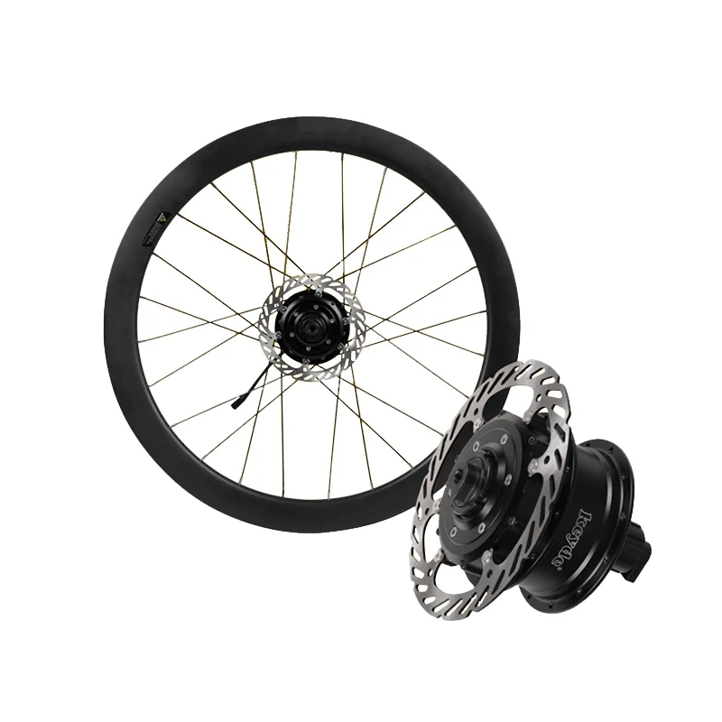 

STLFOEM/ODM Electric Bicycle Part Conversion High Power Torque Kit Thru Axle Hub Motor Built-in Controller & Sensor Rear Motor W