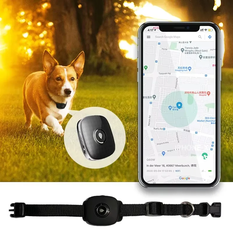 

APP Remote Control Small Dog and Cat Activity Tracking Pet GPS Tracker Animal Tracking Device