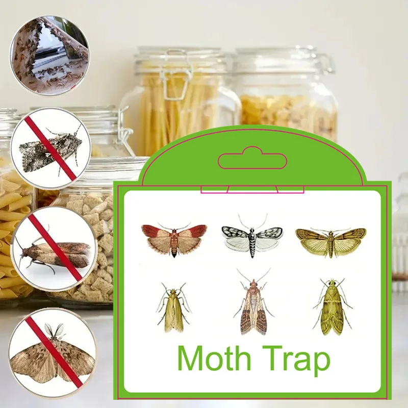 SilentKing 6 Trampas para Polillas, Control de Plagas para Despensa y Jardín, Trampas de Feromonas Adhesivas para Polillas, Trampa para Polillas de la Ropa, Cocina, Alimentos y Hogar