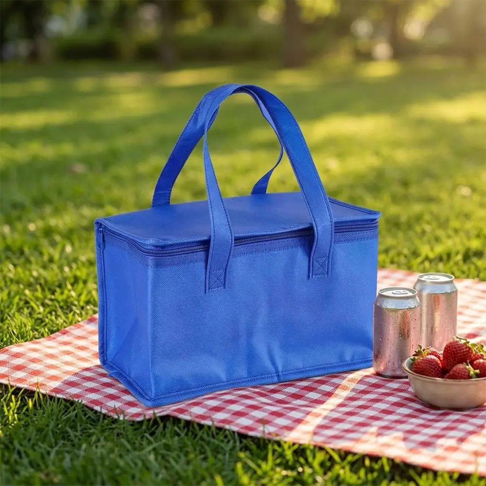 Collapsible Cooler Bag S/M/L Portable Cooler Bag for Travel, Foldable Insulated Cooler for Beach, Picnic & Road Trips, Leakproof