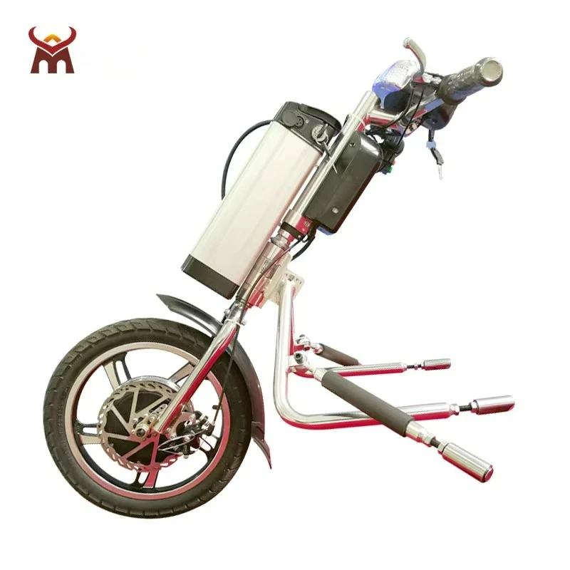Disabled Use Wheel-chair Scooter Electric Motor for Disable People