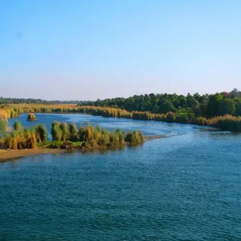 

Автомобильный аксессуар для Volkswagen Sagitar 2012-2018: Электрический привод багажника с автоматическим подъемом и датчиком (комплект)