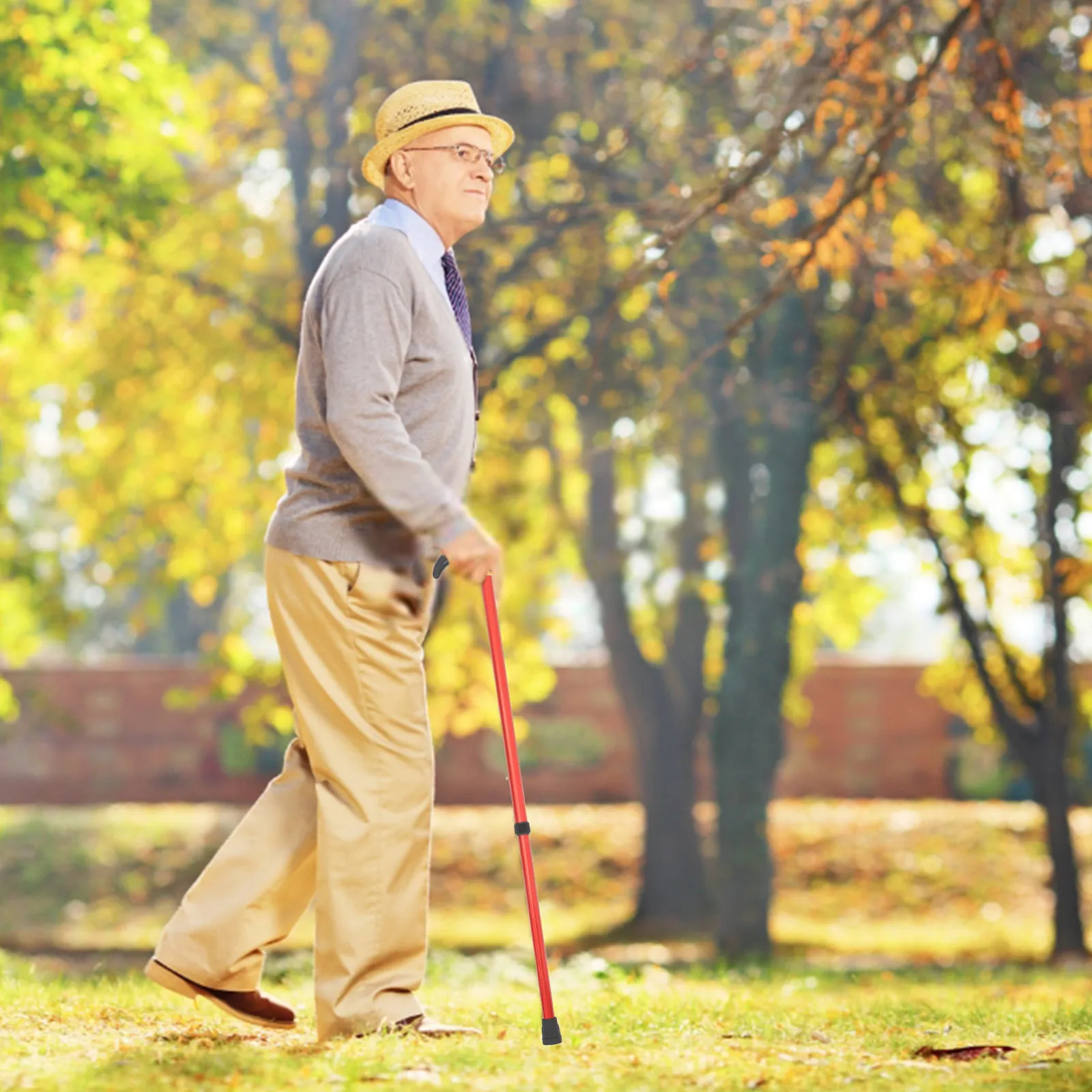 Elderly Anti-Slip Walking Stick Adjustable 2-Section Aluminum Alloy Grip Macromolecule Handle Retractable Stability