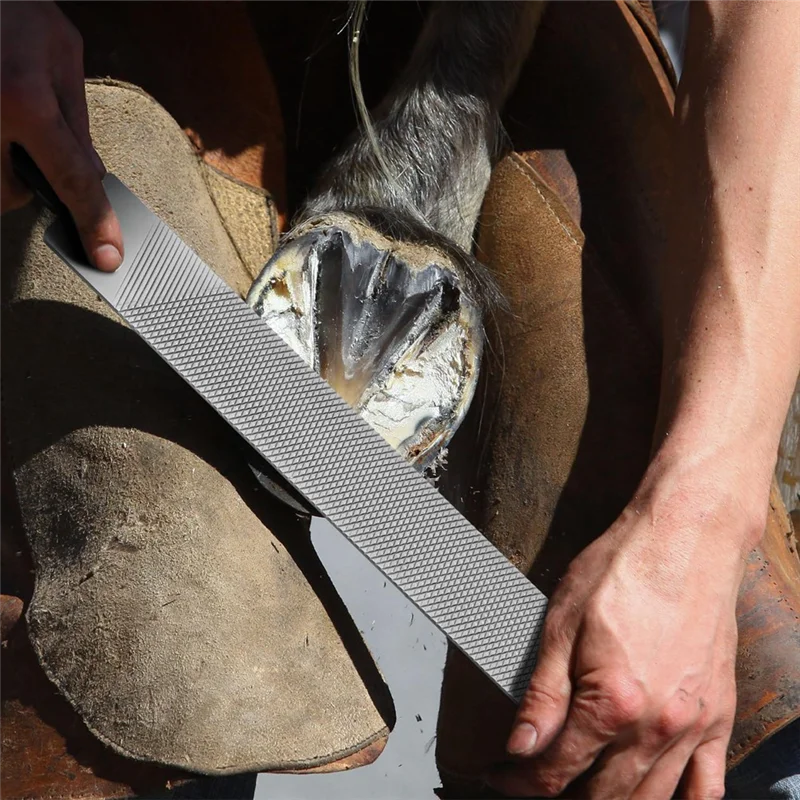 

2 шт. 14-дюймовые напильники для обрезки подковы, вилки из углеродистой стали, инструменты для ремонта деревянных работ с прочной ручкой