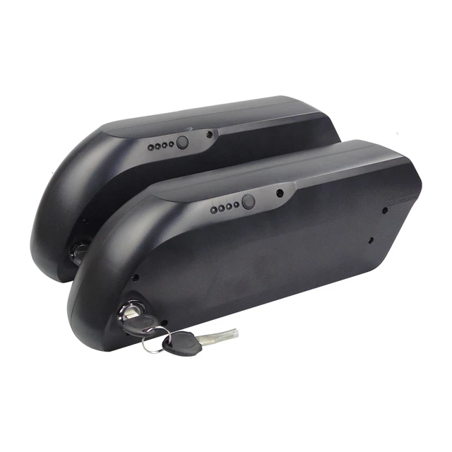 Ecotric battery hotsell
