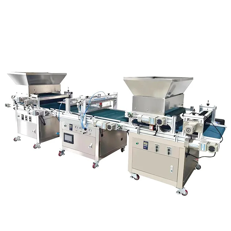 Automatic seedling machine, assembly line vegetable seeds, agricultural seedling seeding machine