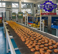 Factory sandwich biscuit machine automatic biscuit production line Customized wafer biscuit production line