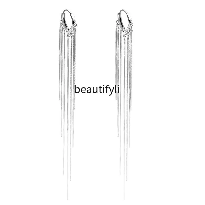 Sterling silver fringed earrings, niche design sense, high-end face, long and thin earrings for women's autumn and winter models