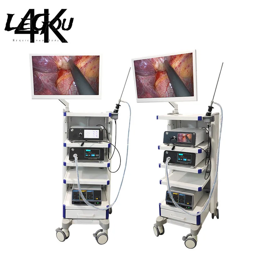 

Профессиональная медицинская камера LeGou Full HD 1080P для осмотра