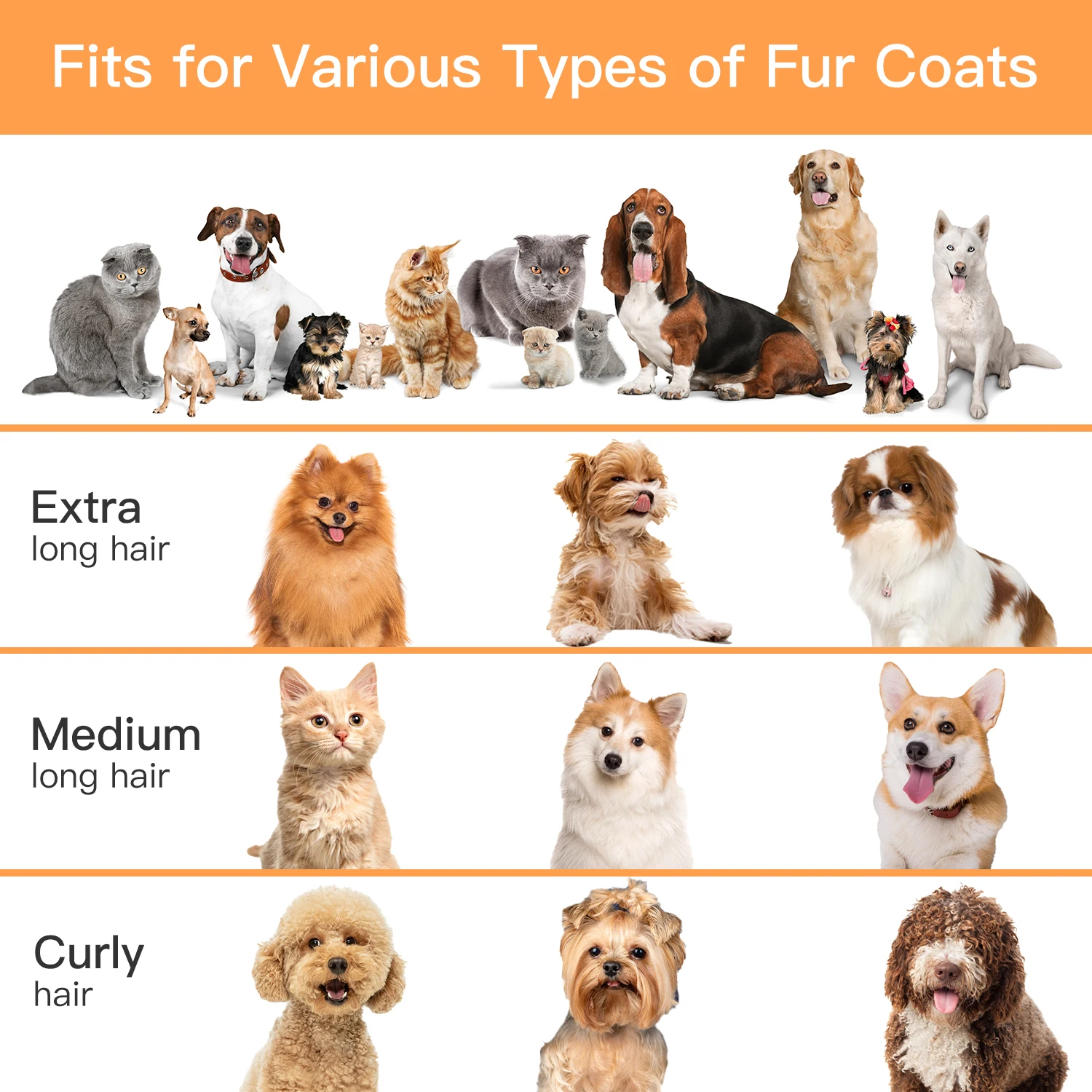 مصنع الجملة 5 في 1 كليبرز الحيوانات الأليفة 12000Pa مزيل شعر الكلب فراغ الحيوانات الأليفة أدوات للعناية الشخصية هادئة منخفضة الضوضاء أدوات العريس مريحة