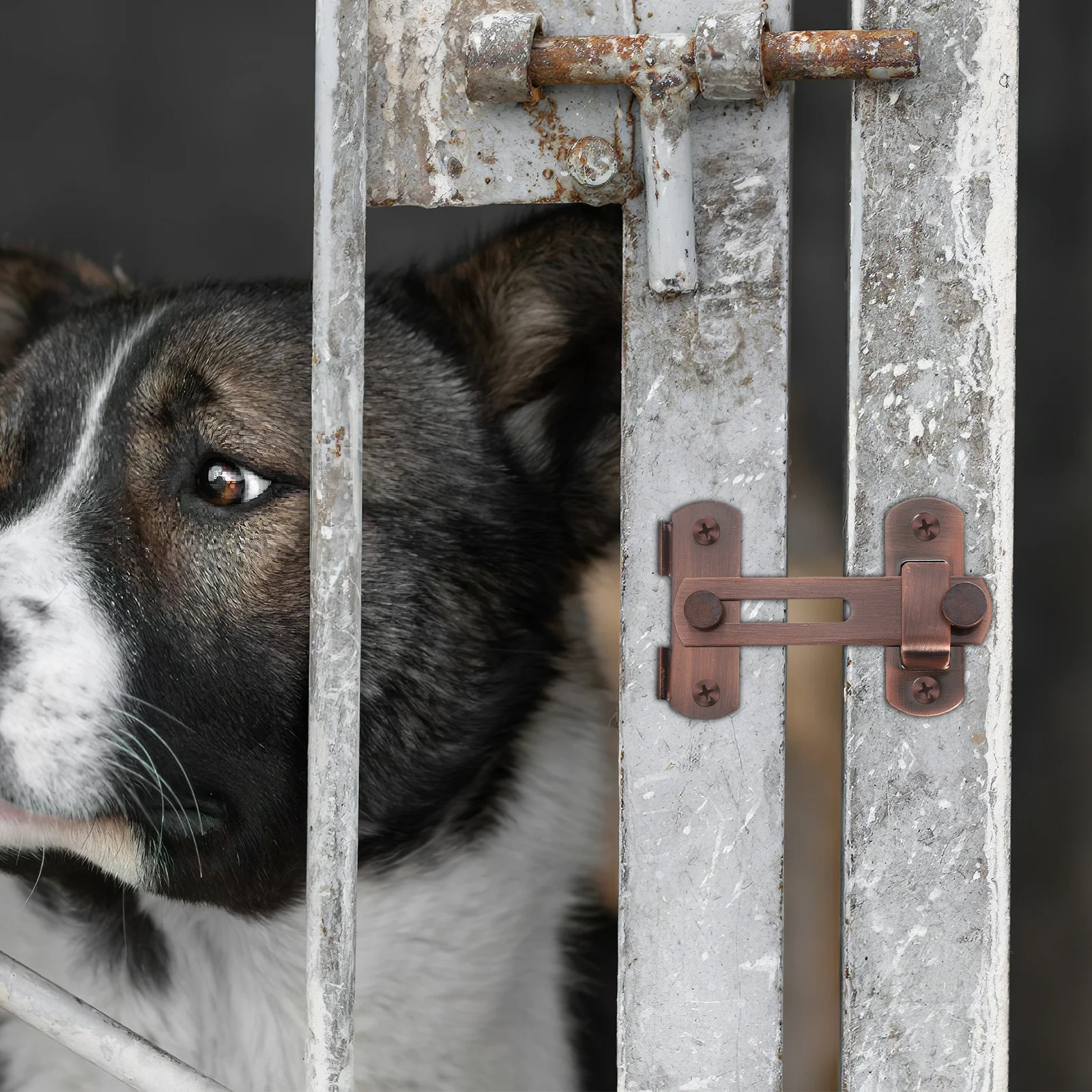 

Heavy Duty Flip Latch Gate Latch Stainless Steel Dark Brown Barn Door Lock Anti-Theft Security Door Slide Bolt Lock for Wooden