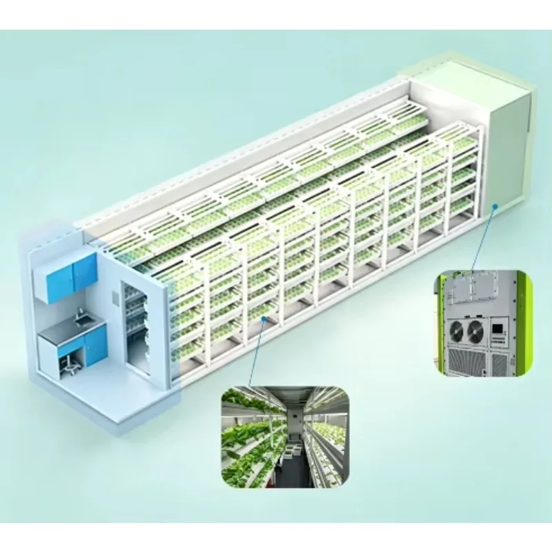 Customized Industrial Walk‑in Mushroom Cultivation Container System Intelligent Climate Control High Yield Commercial Mushroom