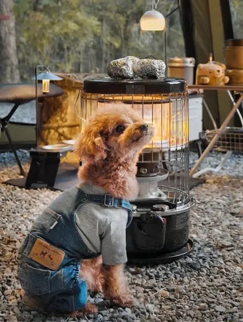 

Мягкие резиновые шины 0,7 дюйма (40×16 мм) с пенопластовыми вставками для радиоуправляемых краулеров Axial SCX30 в масштабе 1/30, модель SCX30.