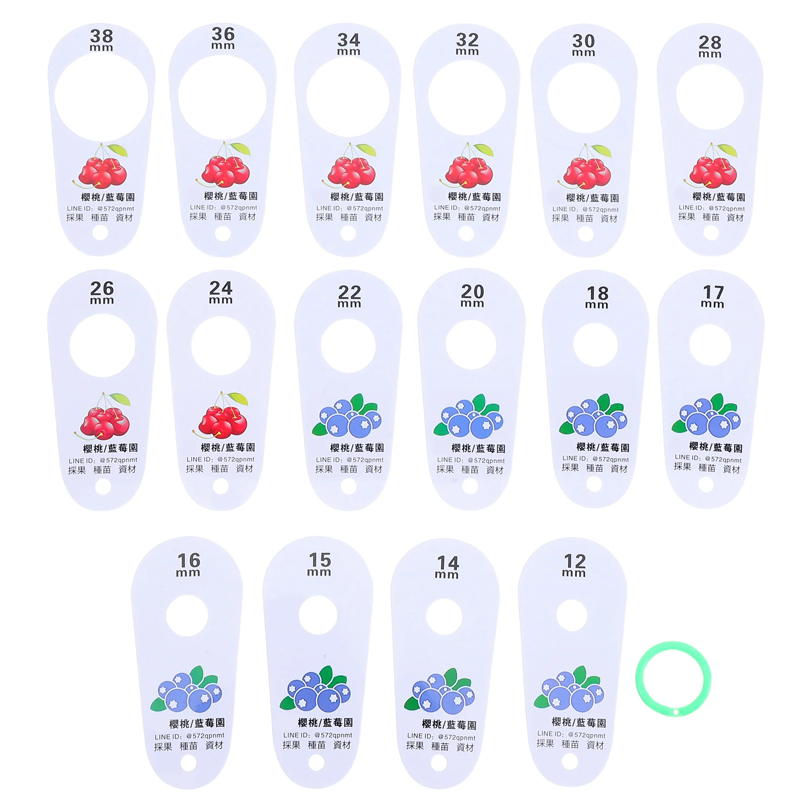 

16-Hole Plastic Fruit Diameter Measuring Ruler Accurate Cherry Blueberry Gauge Tool for Fruit Size Grading in Farms Kitchen