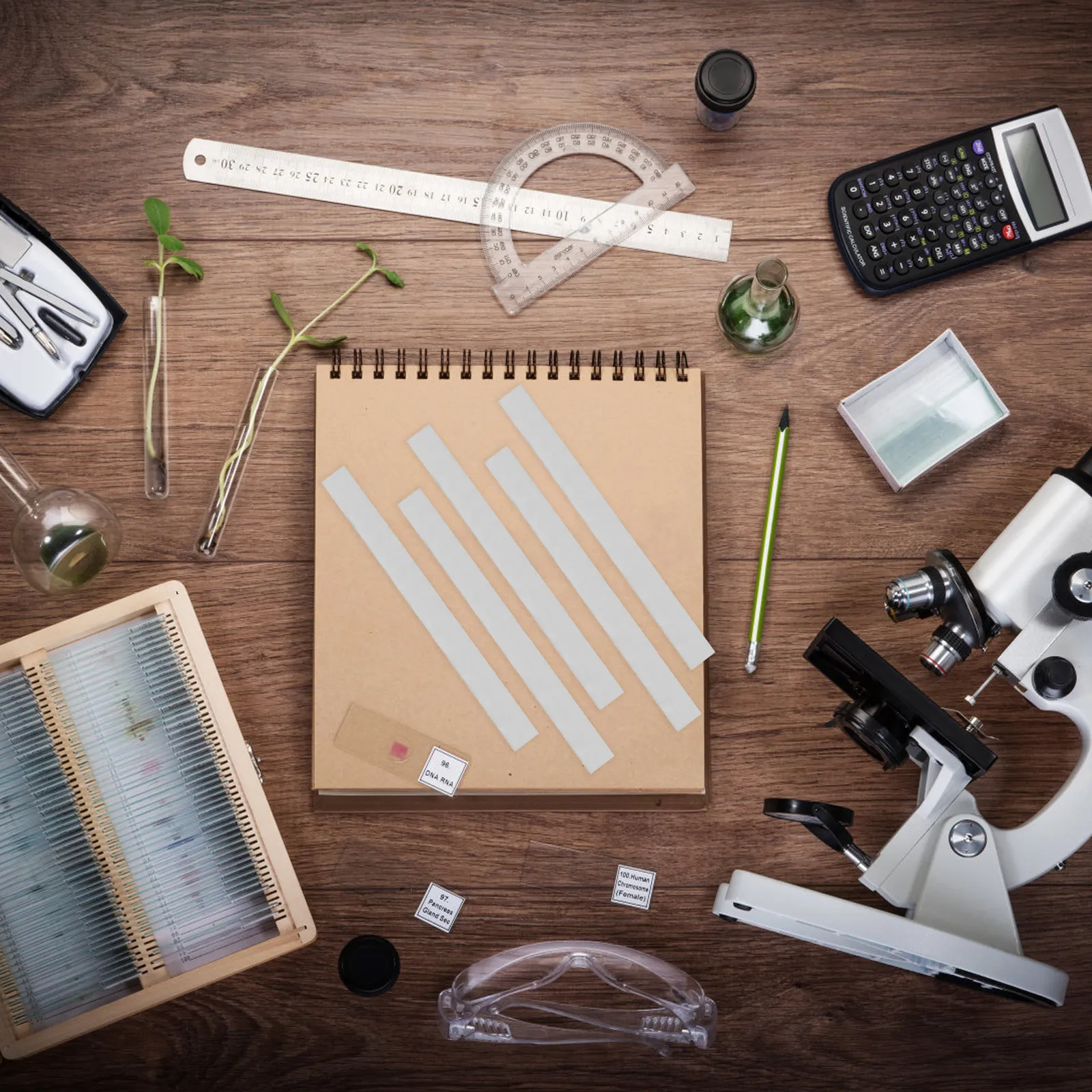 

5Pcs Copper Spring Sheet Elementary School Teaching Tool Sounding Spring Sheet for Science Class Stimulates Intelligence