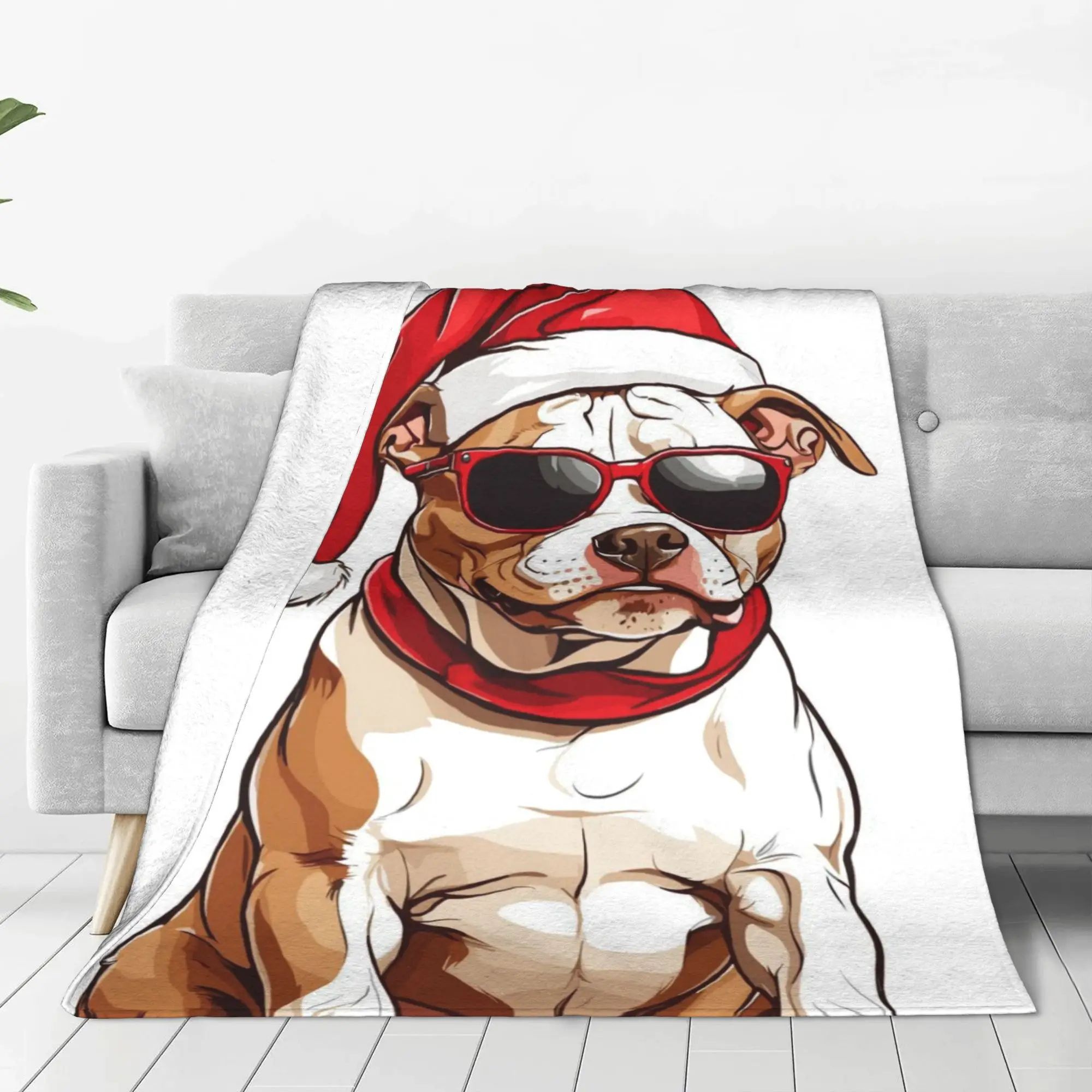 

Flannel Blanket Warm Soft Fluffy Adult Sofa Bed Throw Blanket for Living Room Comfortable Bedspread Outdoor Travel BL 110060