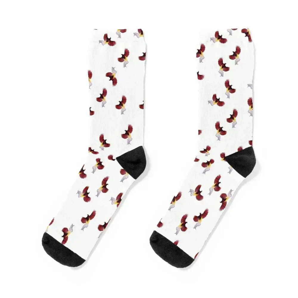 Papua New Guinea Special Red Bird of Paradise Designs and Prints Socks Non-slip Stockings man hip hop Socks Man Women's