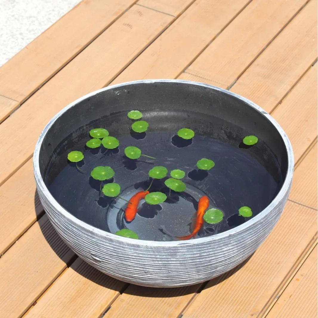 Large Plastic Bowl Lotus Plant Grower Hydroponics Money Grass Special Flower Pot Big Diameter More than 30 Cylindrical Vessel