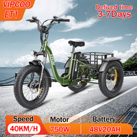 Electric Trike 750W Motor 48V20AH Lithium Battery Reversible Freight Electric Tricycle Adult 20*4 Fat Tire Mountain Snow E-Trike