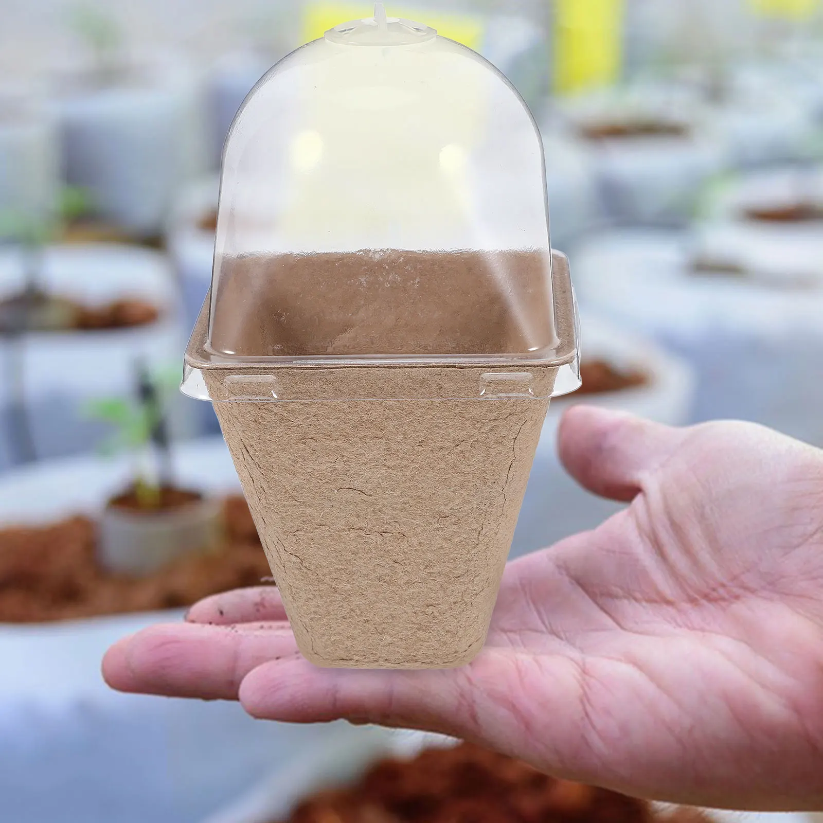 

10pcs Seedling Cups Plant Starter Pots Vented Lids Home Gardening Nursery Humidity Dome Root Growth Multiple Plants