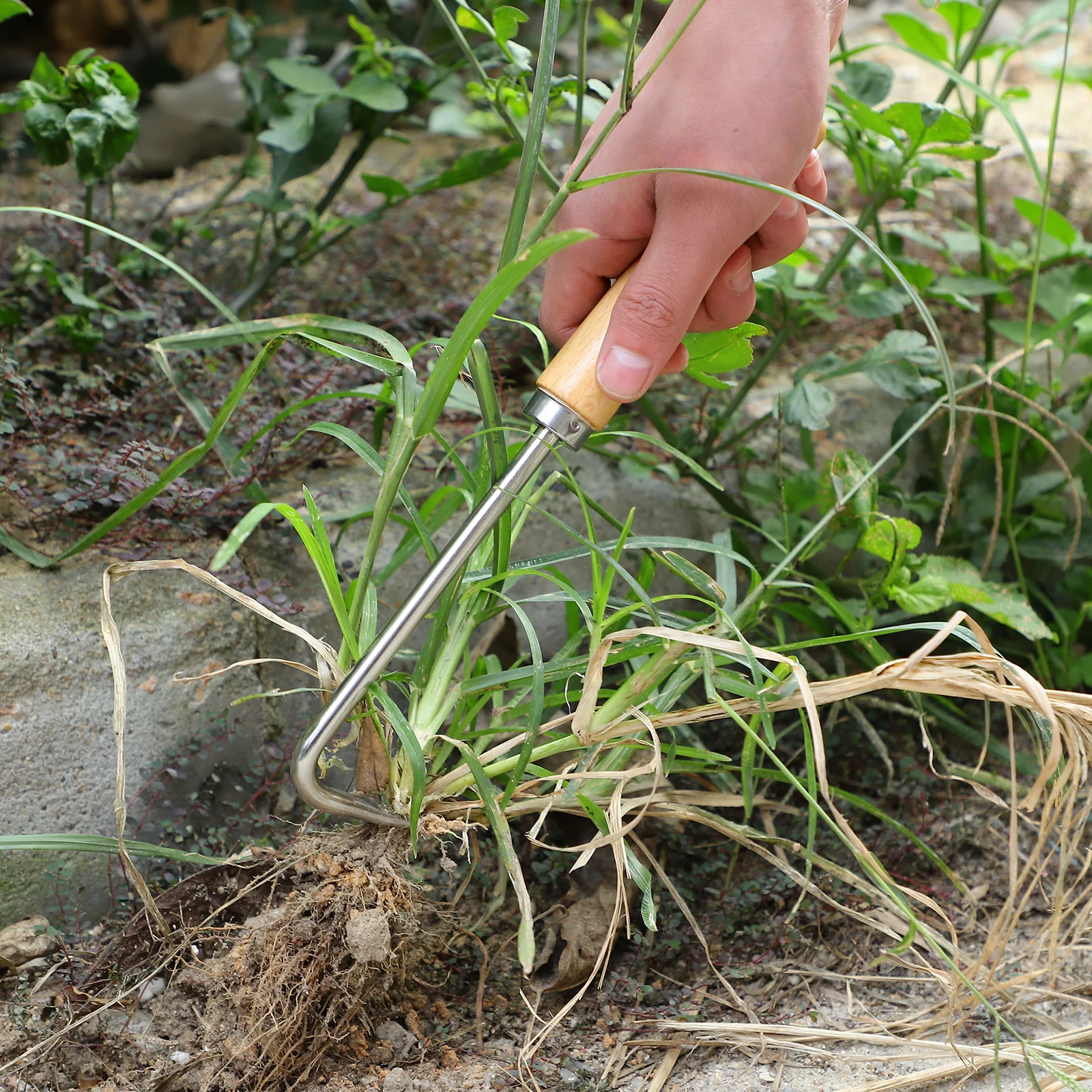 

Manual Weeding Tools Iron Material Wooden H Cultivator Tool Wide Applications Plant Wood Weeder Soil Loose Tool Weed