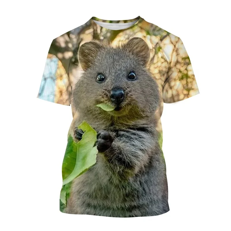 Australia Quokka T-Shirts For Men Casual Animal Graphics 3D Print Women Classic Tee Round Neck Short Sleeve Tops Kids Clothing