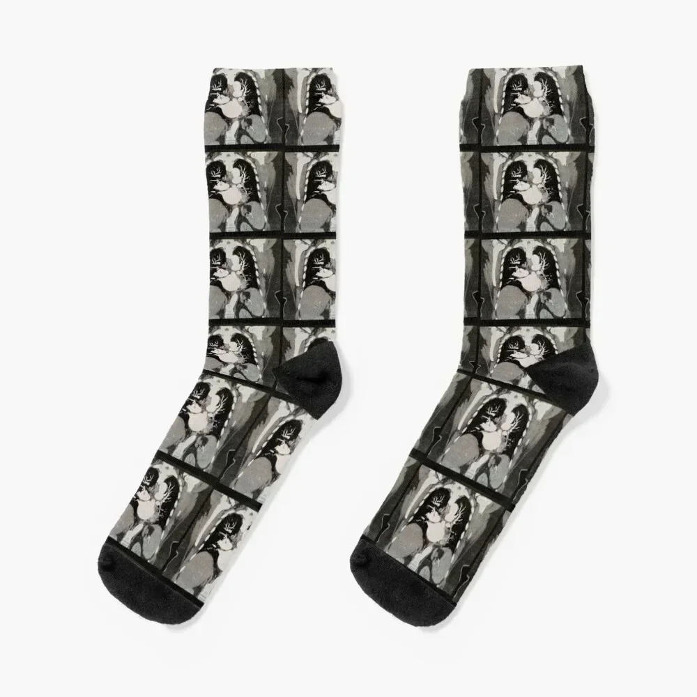 

Chest CT Scan with heart, lungs, pulmonary arteries, liver, spleen and ribs Socks set compression Boy Child Socks Women's
