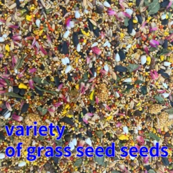 Parrot food bird food conditioning gastrointestinal trace elements tiger skin xuanfeng peony mixed food flaxseed 1000g
