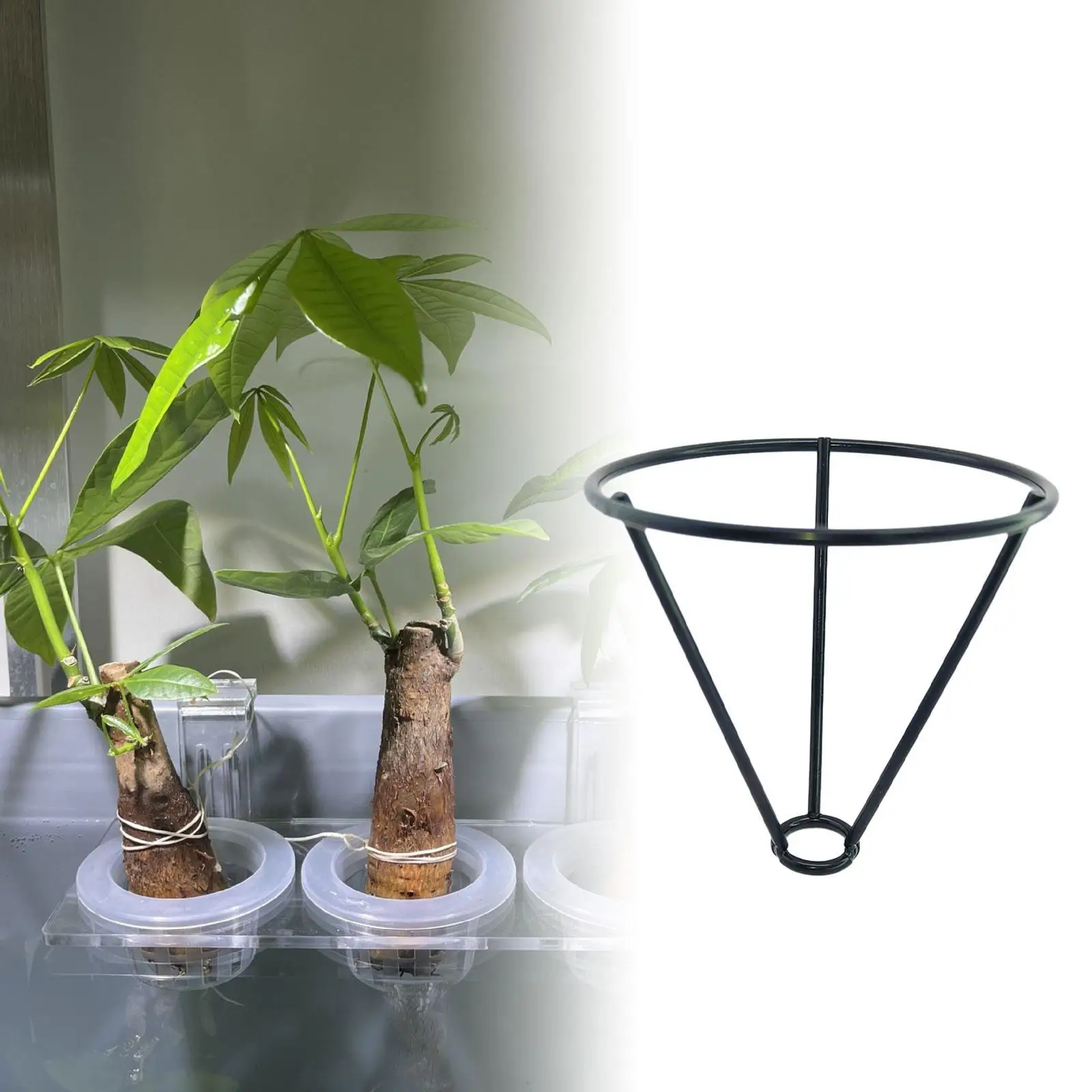 

Multifunctional Triangular Metal Plant Support Growing Bracket Adjustable Plant Pedestal for Study