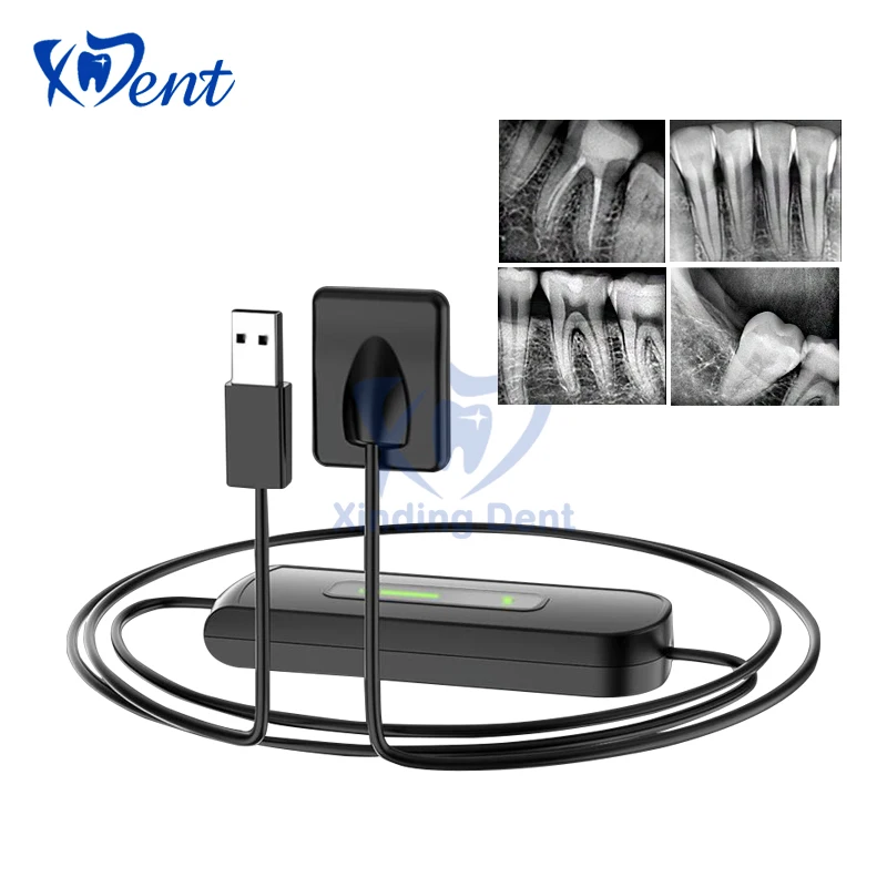 Dental RVG Sensor Digital Intraoral X-Ray Sensor IP67 High Resolution USB Radiovisiograph  for Dentistry Clinic