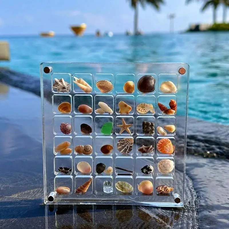 

HQ Seashell Display Box Showcase seashells elegantly with this magnetic display box Acrylic Seashell Display Case organizer