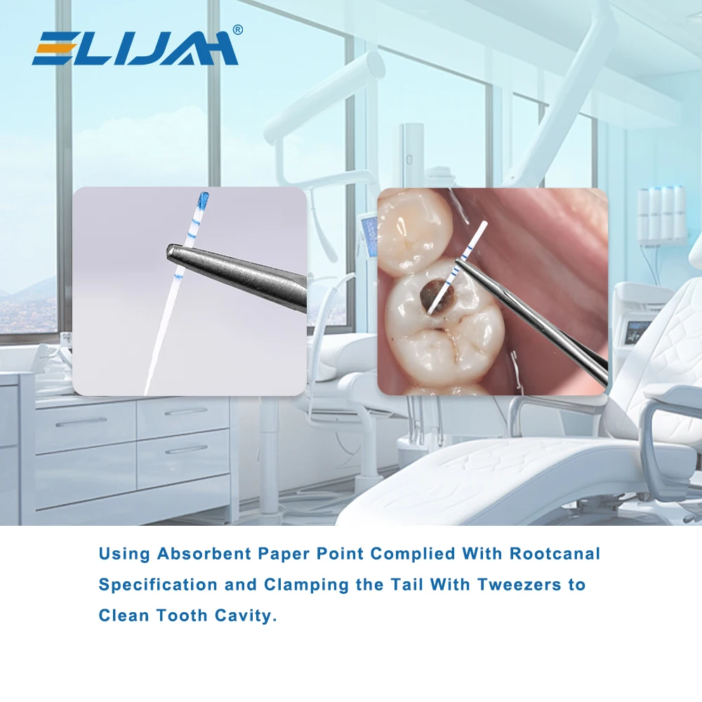 SYJH Dental Pro-T نقاط ورق ماصة كبيرة تفتق الجذر المعقم إلغاء مع مقياس ألياف اللبية نصائح مواد طب الأسنان