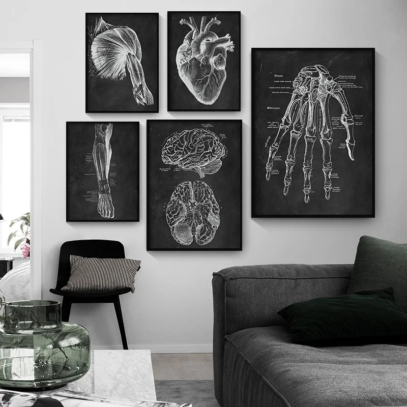 1pc frameless Human Anatomy Artwork Medical Clinic Wall Picture Skeleton Organ Muscle System Vintage Canvas Print Body Education