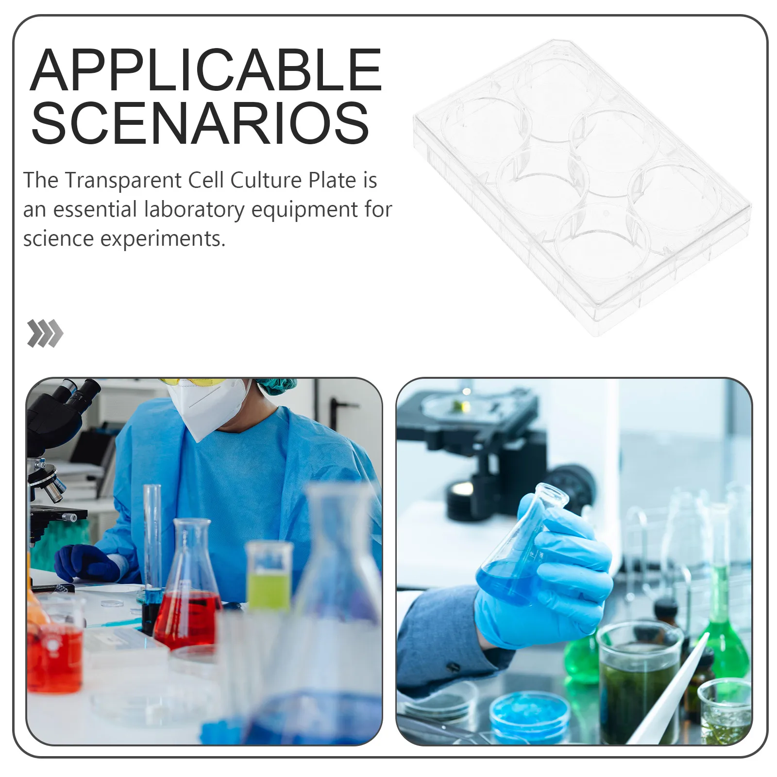 12 Hole Culture Plate Transparent Plastic Lab Cell Culture Plate For Lab Use TC Treated Lid Tissue Tools Petri