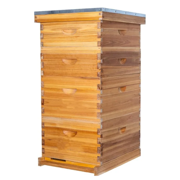 4 Layer Complete Langstroth Beehive Box 10 Frame Beeswax Dipped Wooden Bee Hive Boxes Kit