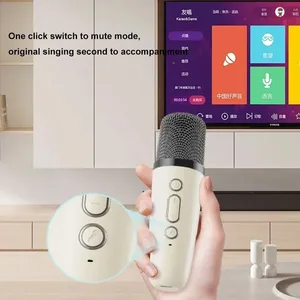 KARAOKE CAIXA DE SOM ALTAJE DE Bluetooth con máquina de micrófono mini lámpara portátil Caja de sonido Música Wireless Small Bocina Coluna 10 mejores altavoces de fluido ferro de ventas - №3