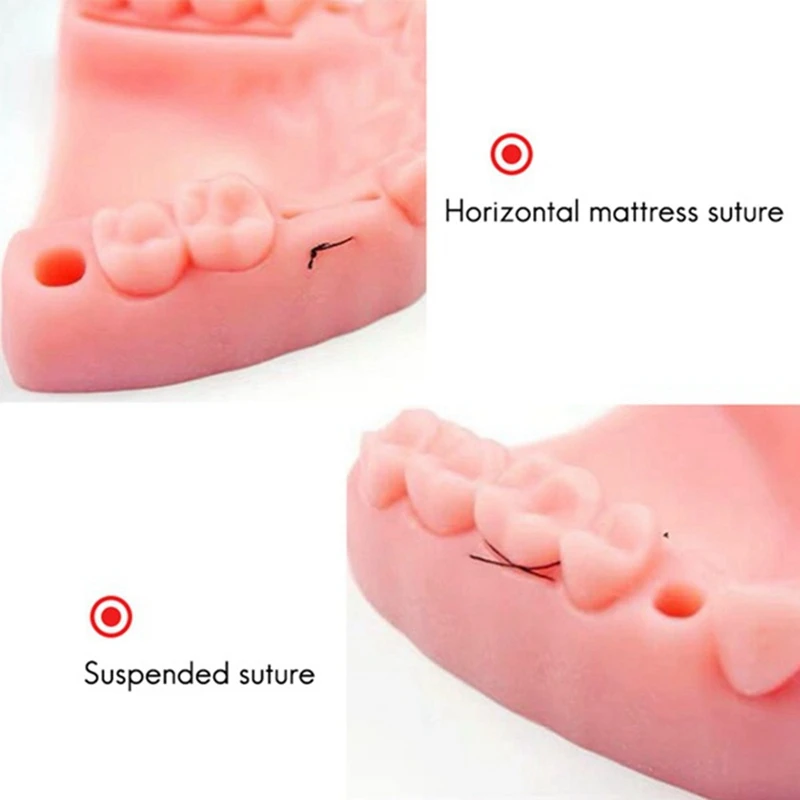 Juego de 2 juegos de Kit de entrenamiento de sutura de goma Oral Artificial de silicona, tipos comunes de heridas para práctica y entrenamiento de dentista