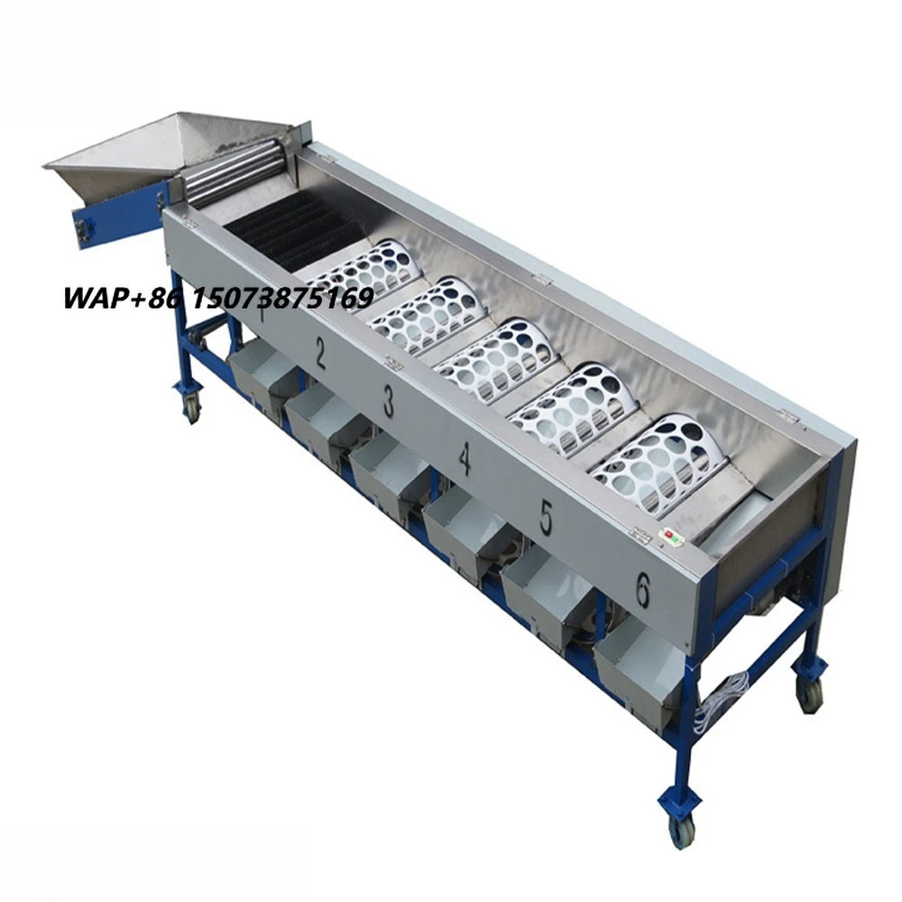 Dragon Fruit mango Washing Selecting Grading Machine Tomato Selection Machine Pitaya Avocado Picker