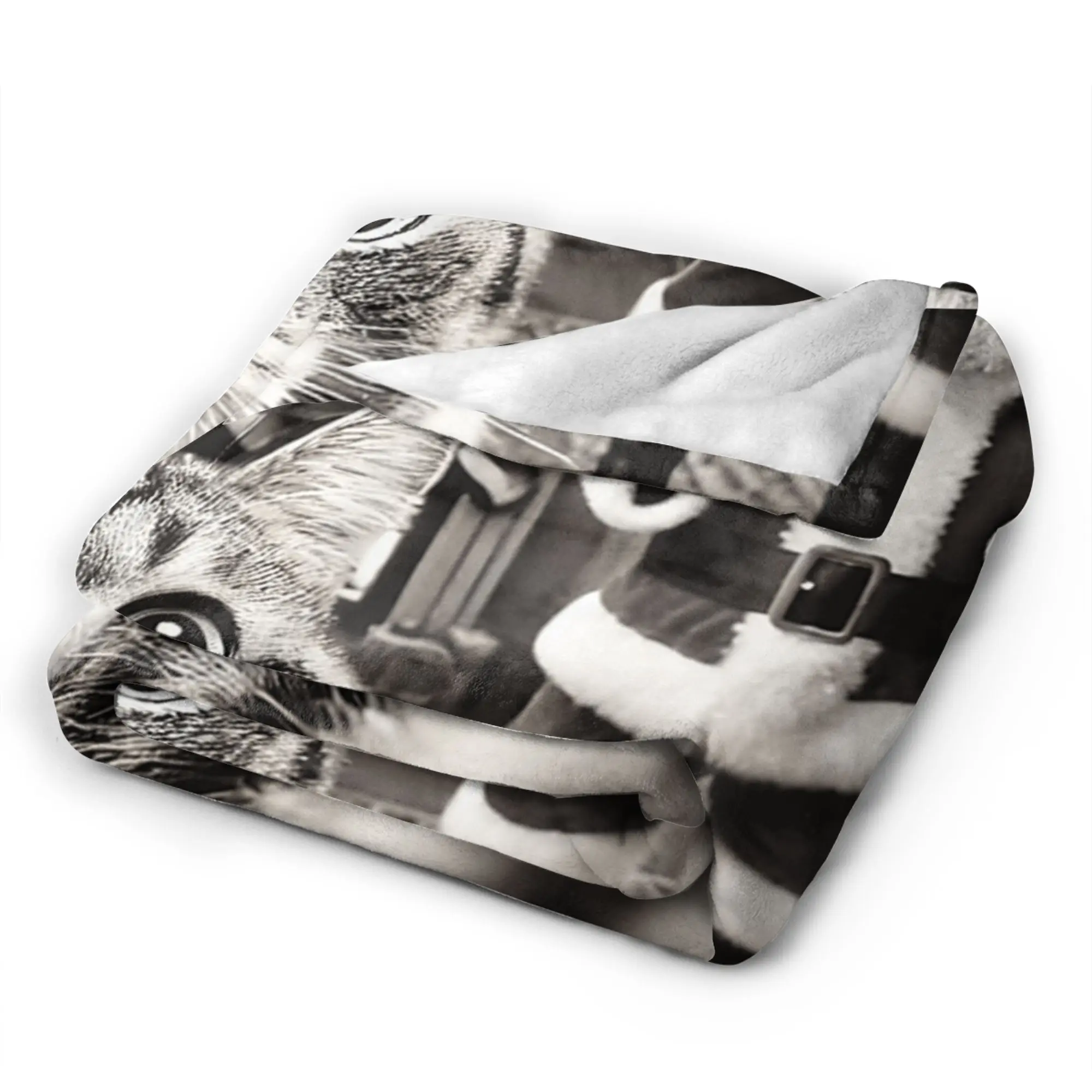 صورة شخصية للقطط مع بطانية سانتا جودة الفراش الدافئة يلقي ربيع الأطفال في الهواء الطلق موضة المفرش #3