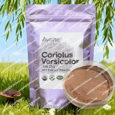 맞춤형 터키테일 윤지 추출물 30:1 비율 포장 대량 포장 알루미늄 호일 백