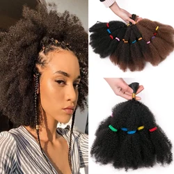 VERVES Culry Synthetic Crochet Braids Hair Extensions 12 inch Ombre Braiding Hair Afro Kinky Bulk Twist Braids Black,Brown,Bug