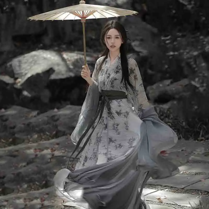 2025 جديد الصينية Hanfu فستان المرأة القديمة التقليدية Hanfu مجموعات كرنفال الجنية تأثيري حلي رمادي الطباعة Hanfu فستان رقص
