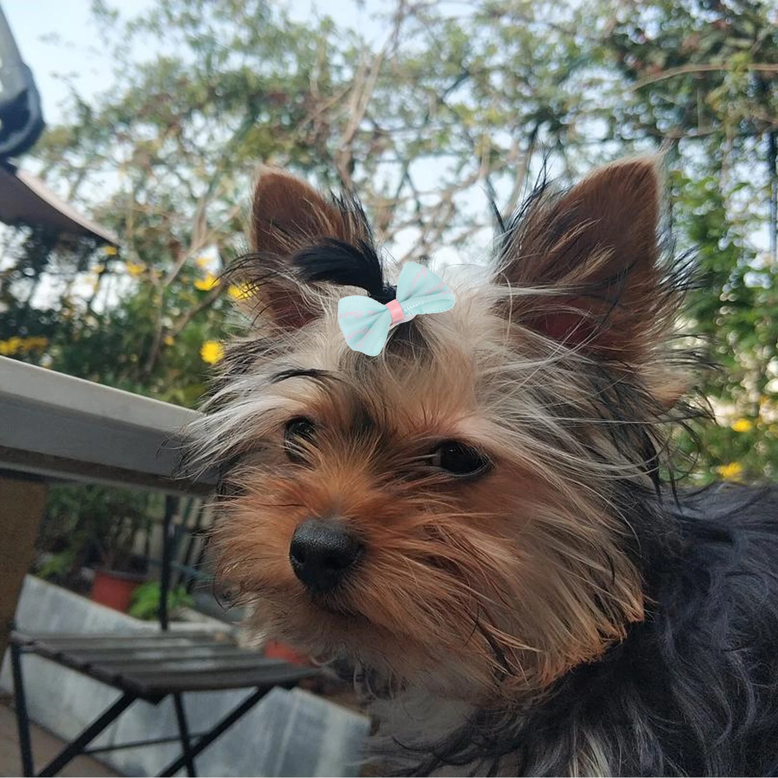 

Pet Hairpin Dog Accessories Bowknot Clips Cute Decorative Hairpins Polyester Material Various Colors Long Serving Time Daily